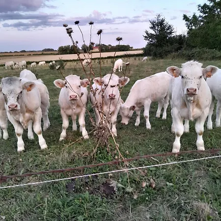 Les Prairies De Bourreas Sud Berry